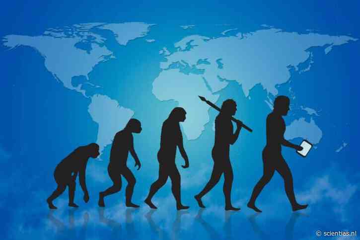De evolutie van de mens is waarschijnlijk anders verlopen dan gedacht: “Bizar evolutionair patroon”