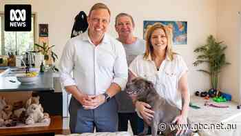 Premier denies bowing to social media pressure as he visits returnee Molly the magpie at home
