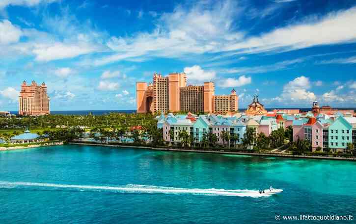Grand Bahama, la tua vacanza eco-chic alle Bahamas