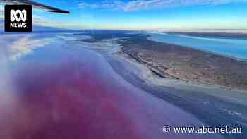 Proposed plan to ban recreational access to Kati Thanda-Lake Eyre without cultural permission