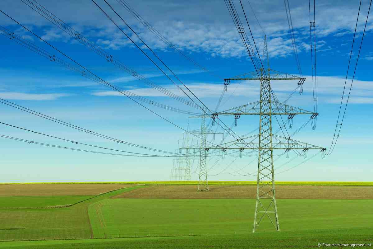 ACM: ‘Bedrijven die stroomcapaciteit in leveren, bepalen zelf de vergoeding”