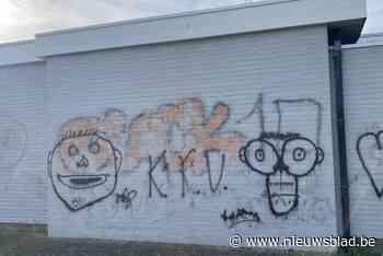 Vandalen bekladden muren van Zonnig Leven voor derde keer op korte tijd met graffiti: buurt wijst naar hangjongeren