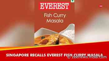 Singapore Recalls India's Everest Fish Curry Masala Over Presence Of Ethylene Oxide Pesticide