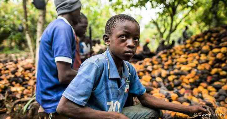 Child labour problem in Nigeria worst in Southeast, Northwest