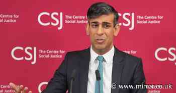 Rishi Sunak accused of 'full-on assault on disabled' with 'chilling' welfare vows