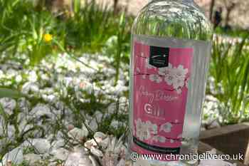 Alnwick Garden launches new gin inspired by Japanese cherry blossom orchard