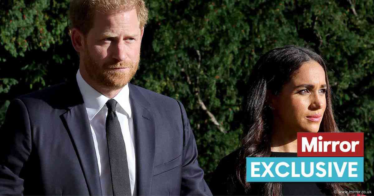 Harry and Meghan's new Netflix show 'produced groans at Kensington Palace', claims royal expert