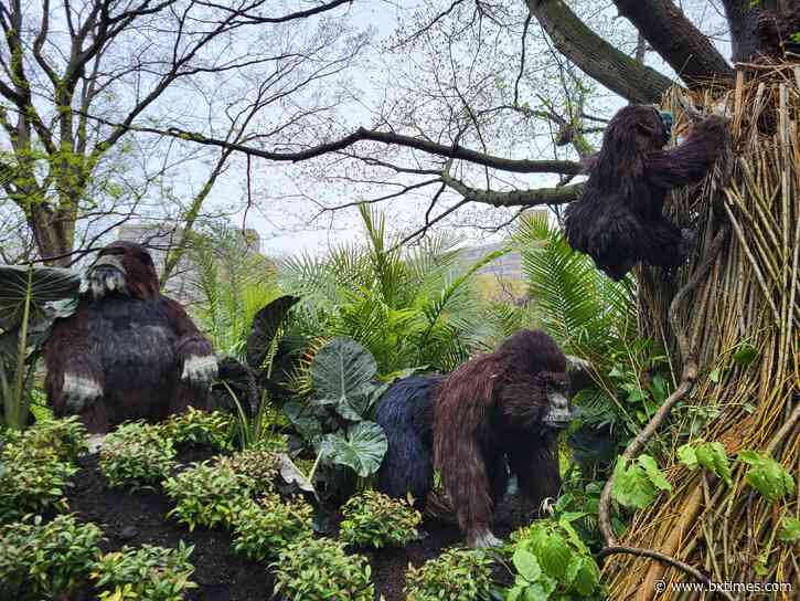 Bronx Zoo marks 125th anniversary with ceremony, new exhibit