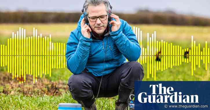 Crunching worms, squeaking voles, drumming ants: how scientists are learning to eavesdrop on the sounds of soil