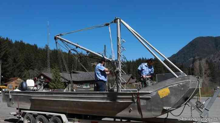 Bigger boats, more nets, people arrive in Zeballos for new orca rescue attempt