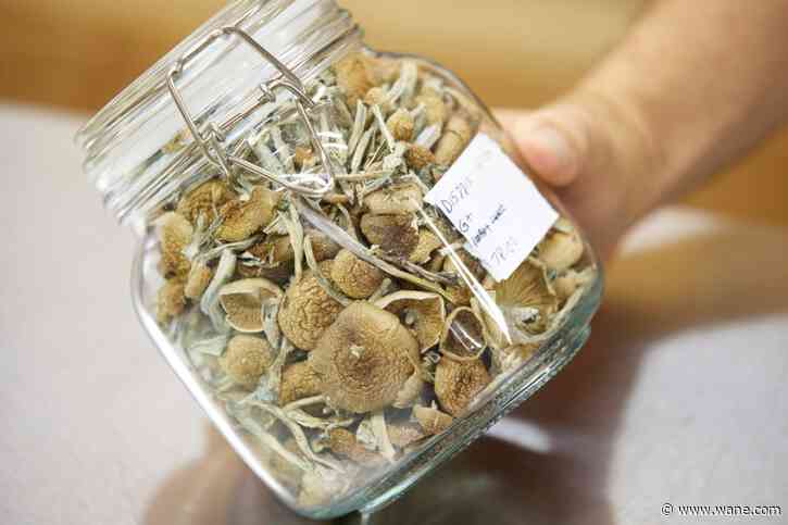 Using 'magic mushrooms' for mental health