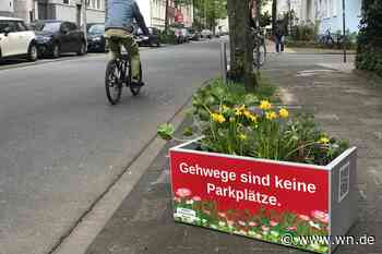 Kreuzviertel: Blumenkübel müssen wieder entfernt werden
