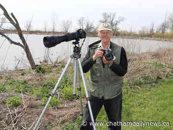 Friend of Nature: Wallaceburg photographer snaps up conservation award