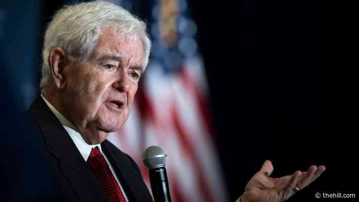 Gingrich: 'It would be totally stupid' to move forward with motion to oust Johnson