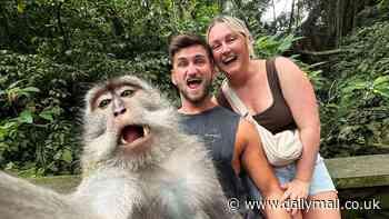 Portrait of the apes: Monkey takes a selfie with stunned British tourists (but all is not as it seems)