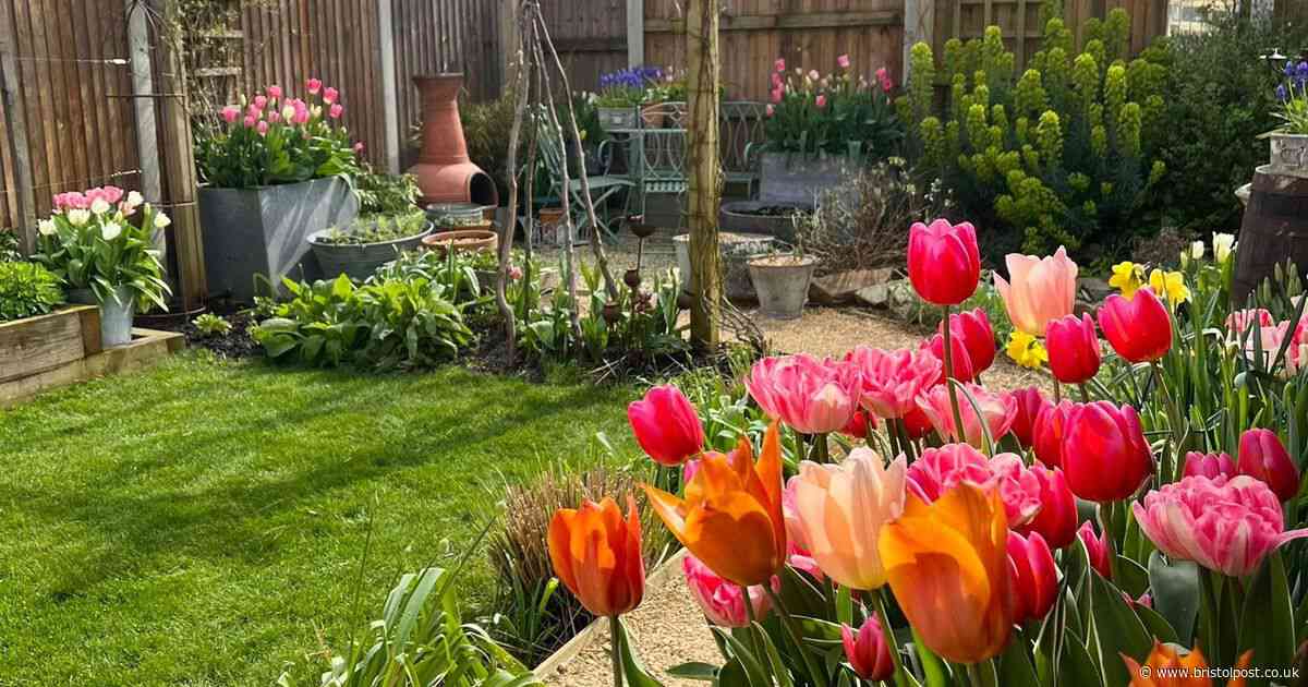 Couple spend £4,000 transforming drab new build garden into a countryside oasis