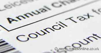 Hundreds of people not sent council tax bill following 'production issue'