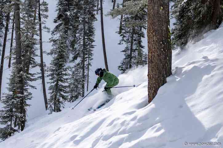 Tree Skiing Is The Ultimate Art Form