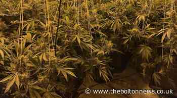Cannabis farm found in Tonge Moor, Bolton police raid