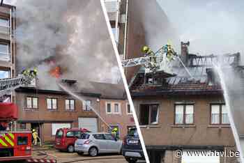 Huis onbewoonbaar na uitslaande dakbrand in Bree, bewoners opgevangen