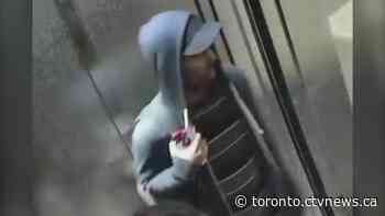 Suspect followed stranger off elevator in East York building and sexually assaulted them, police say