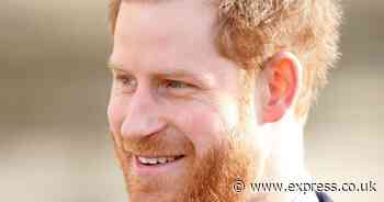 Prince Harry ‘has no need to be a US citizen' as doubts over visa status rumble on