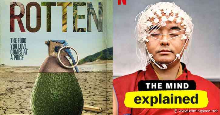 Best Medical Documentaries on Netflix: The Mind Explained, Rotten & More