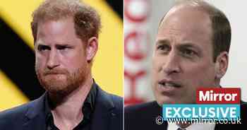 Prince William will feel 'disappointed' as Prince Harry cuts ties with the UK, expert claims