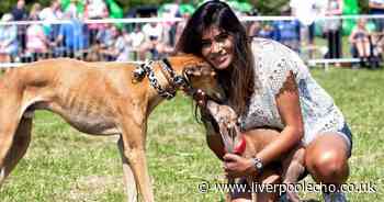 Mowgli dog show returns with food, drink and funfair