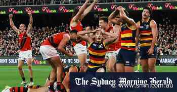 Crows won’t bite on costly non-call against Bombers