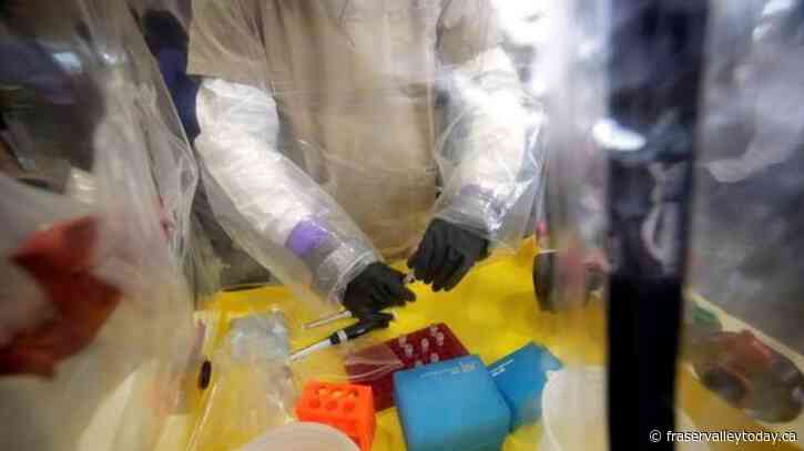 MPs chide ‘incompetent’ health agency over fired National Microbiology Lab scientists