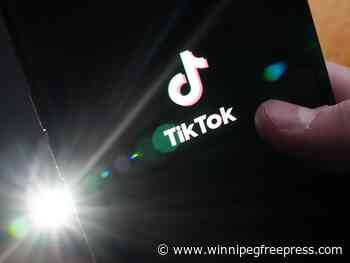 TikTok testing Instagram-rival app TikTok Notes in Canada