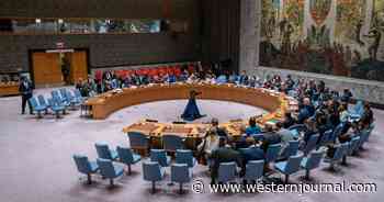 USA Uses UN Security Council Veto to Overcome 12-1 Vote - Result Will Enrage Far Left