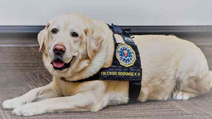 FBI gives award to Assistance Dogs of the West