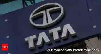 Tata Sons seeks IPO waiver from RBI after cutting debt