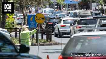 Noosa traffic and parking so bad it's damaging locals' mental health, says deputy mayor    