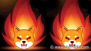 Shiba Inu Burn Rate Sees 81% Daily Increase, But Why Is Participation Low?