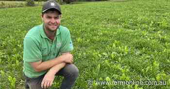 Nitrogen put to the test on NSW coastal dairy farms