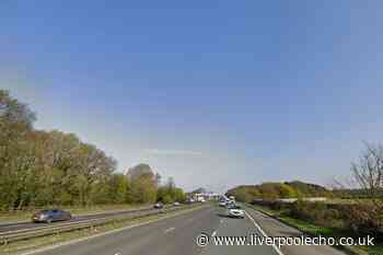 Man dies after being hit by lorry on M57