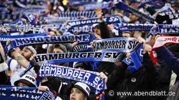 Bahn-Ausfall zum HSV-Spiel: Wie Fans heute zum Stadion kommen