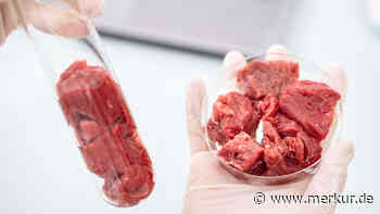 Labor statt Schlachthof: Fleisch aus dem Drucker schon bald im Supermarkt?