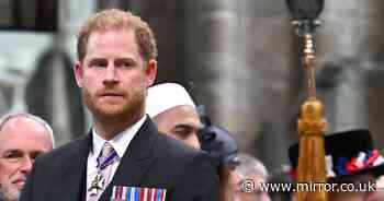Prince Harry's unexpected three-word response when aide called him 'mate' by accident