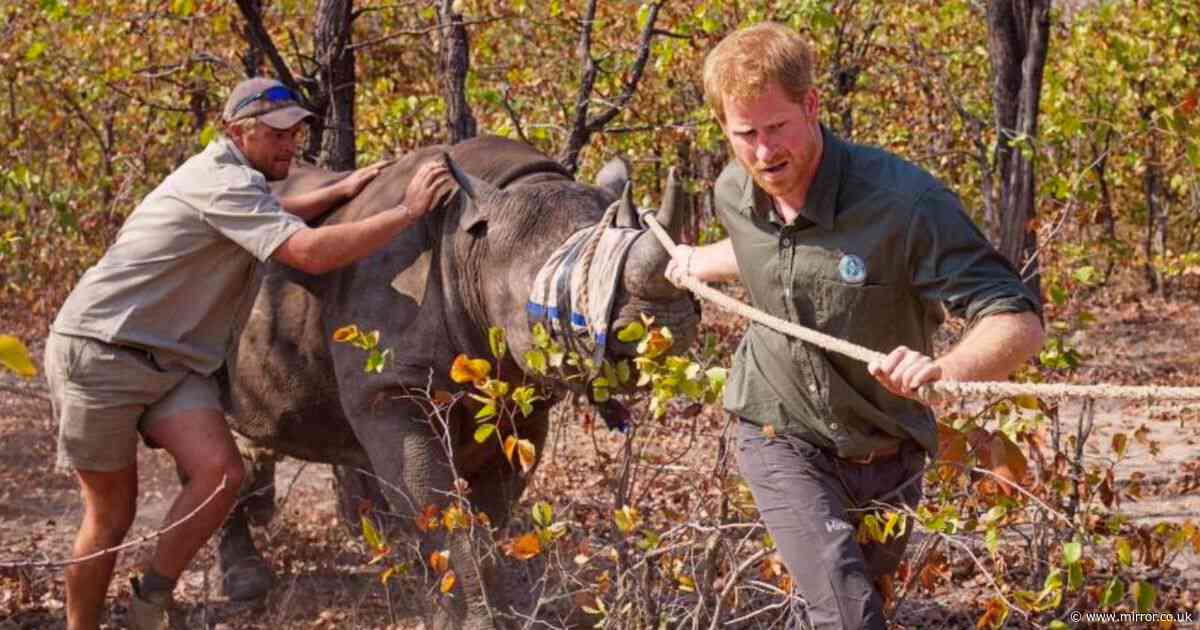 Prince Harry faces pressure as African charity hit by chilling fresh torture claims