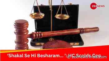 ‘Shakal Se Hi Besharam... ’: HC Scolds Cop For Misconduct With Judge, Video Goes Viral