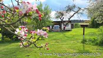 Saisonstart: Zu Besuch auf Helmstedts idyllischen Campingplätzen