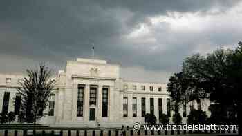 Fed-Umfrage: Inflation und US-Wahl sind wesentliche Risiken für Finanzstabilität
