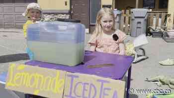 Kamloops, B.C., girl raises $1,500 selling lemonade to pay for brother's autism assessment
