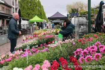 FOTO. Hoeve- en bloemenmarkt van start: kleuren en geuren genoeg, nu nog de zon