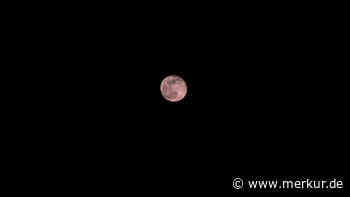 Vollmond am 24. April: „Pink Moon“ läutet den Frühling ein