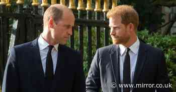 Secret details Prince Harry left out of tell-all book to protect Prince William